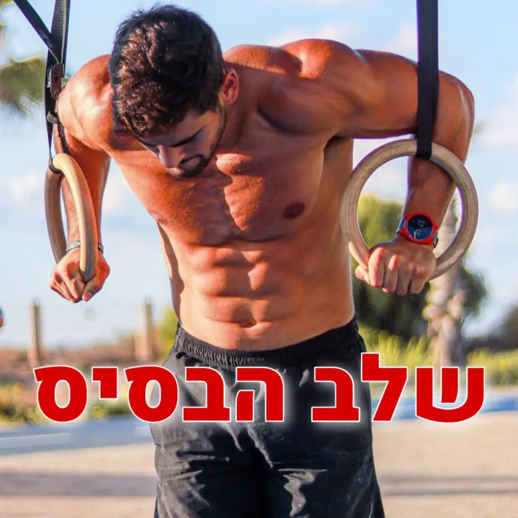 ציוד קליסטניקס